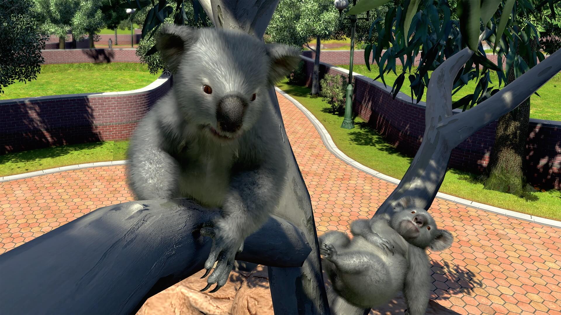 Zoo Tycoon – review, Games