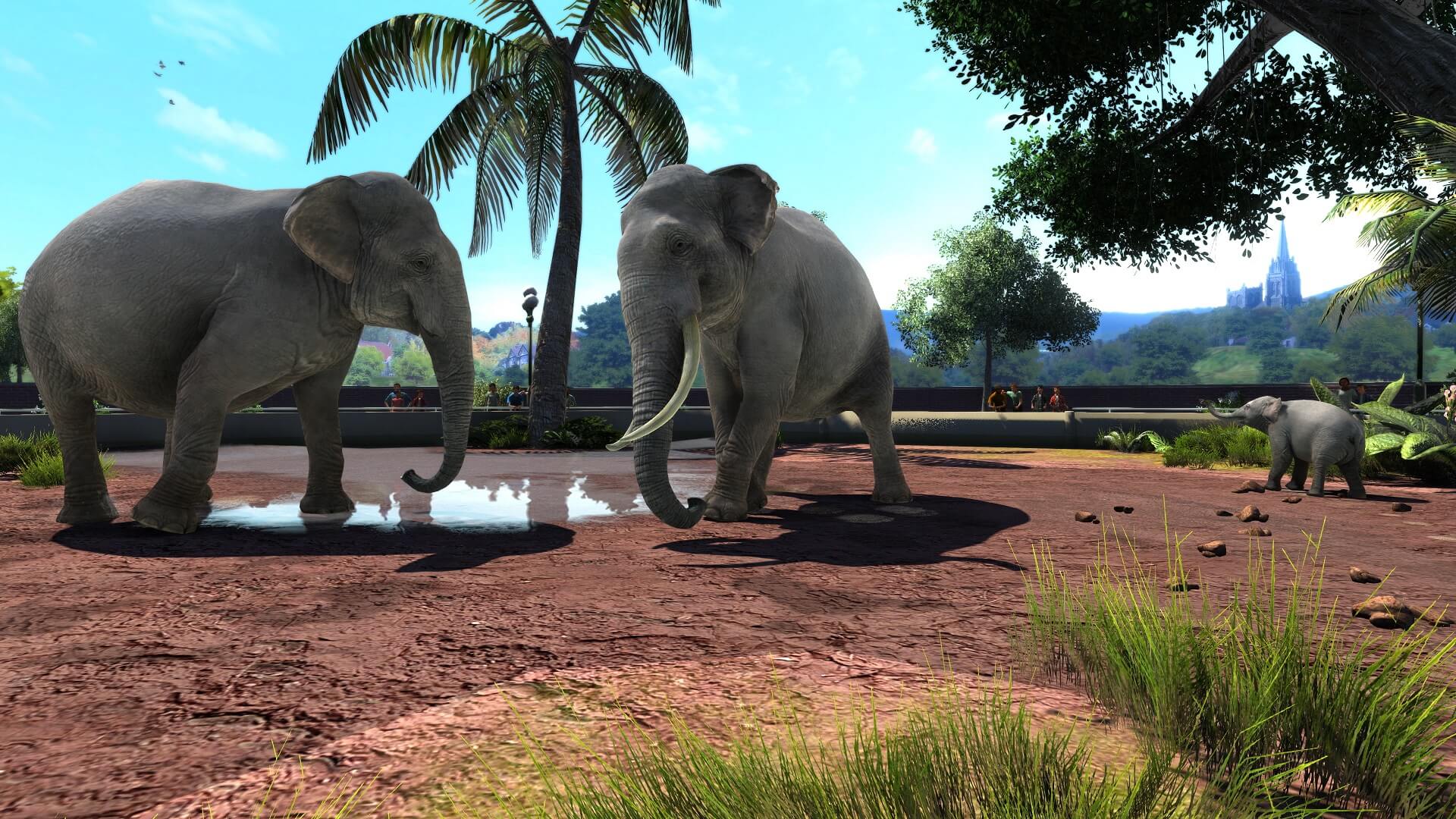 Zoo Tycoon – review, Games