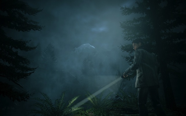 Alan Wake PC - Searching