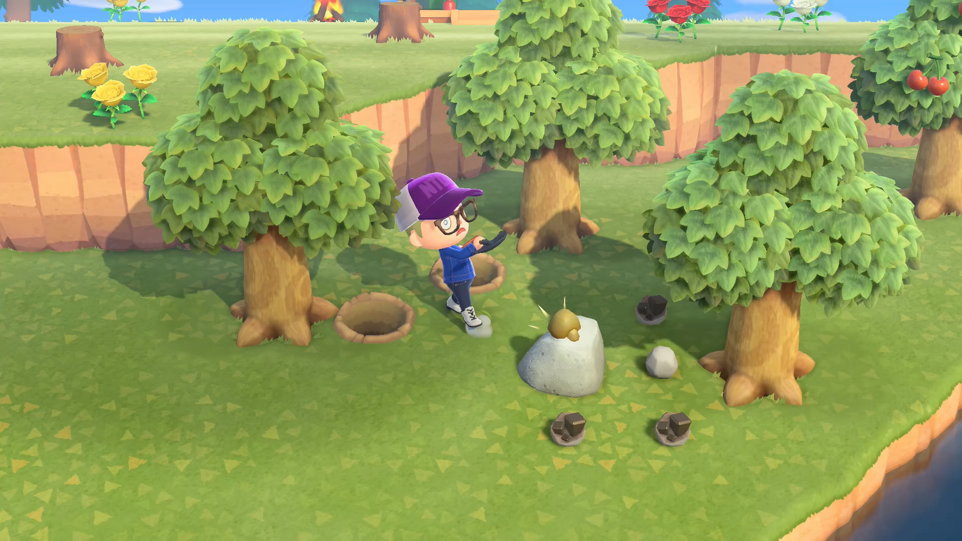 Animal Crossing: New Horizons beginners guide: Find the money rock every day
