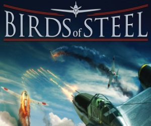 Birds of Steel Video Review