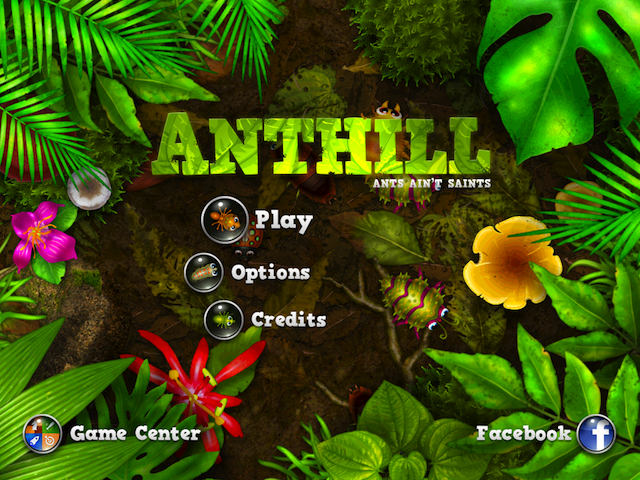 Image & Form: Interview - Anthill Menu