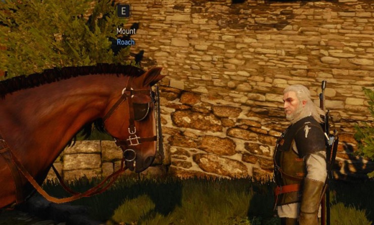 Roach 1
