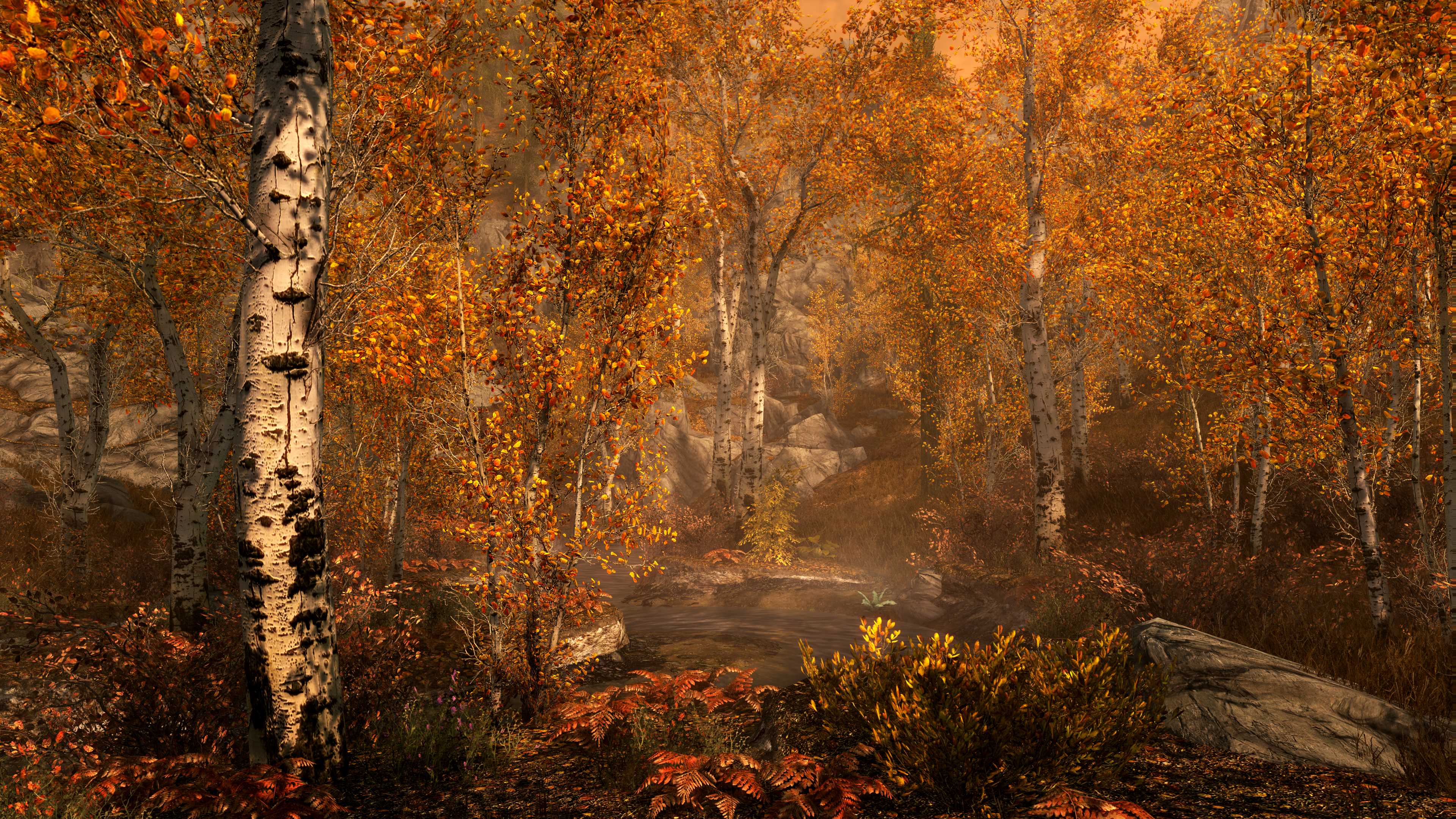 Skyrim Special Edition trees wooh