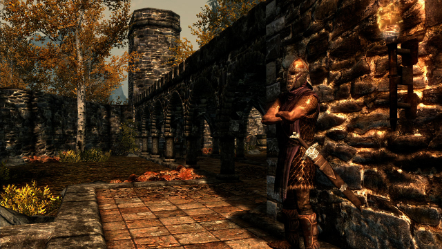 Skyrim - Riften Guard