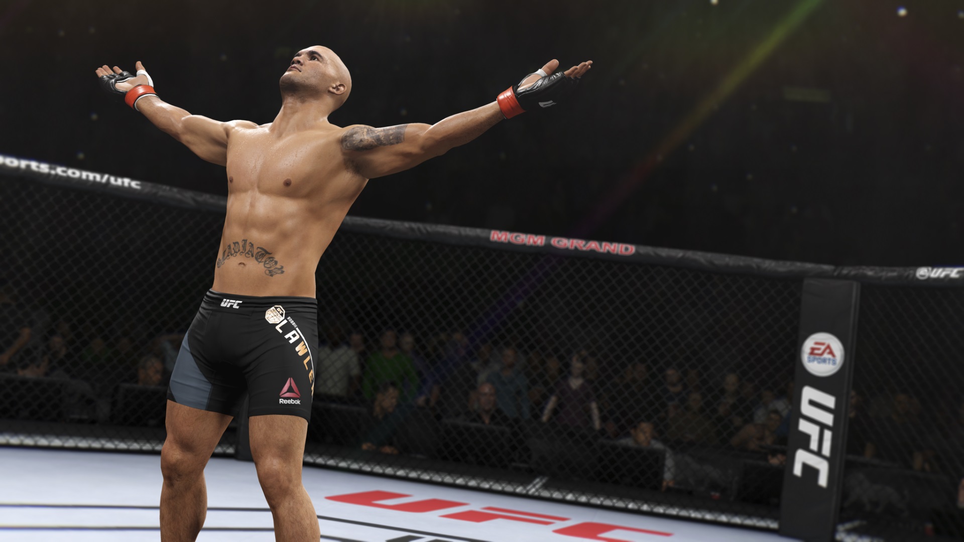 9 Tips for Victory in UFC 2