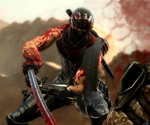 Ninja Gaiden 3 Banner