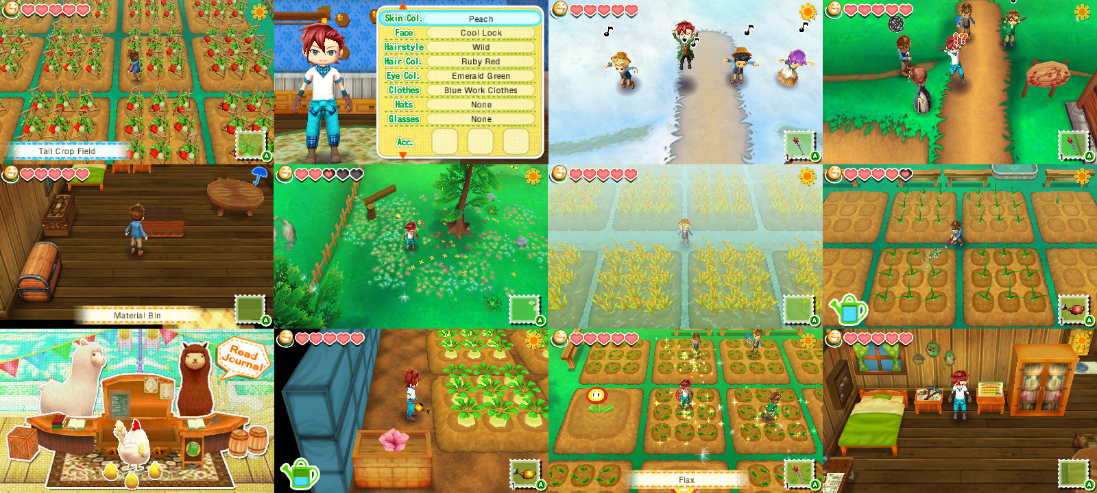 New Story of Seasons Trailer & Screens Released