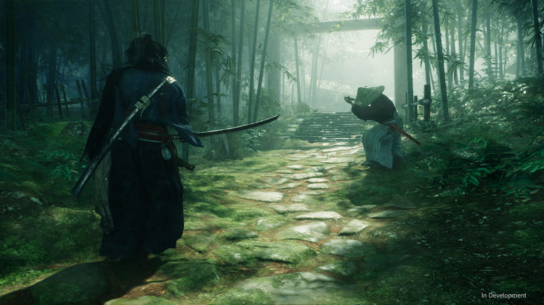 Rise of the Ronin is a Team Ninja game coming in 2024