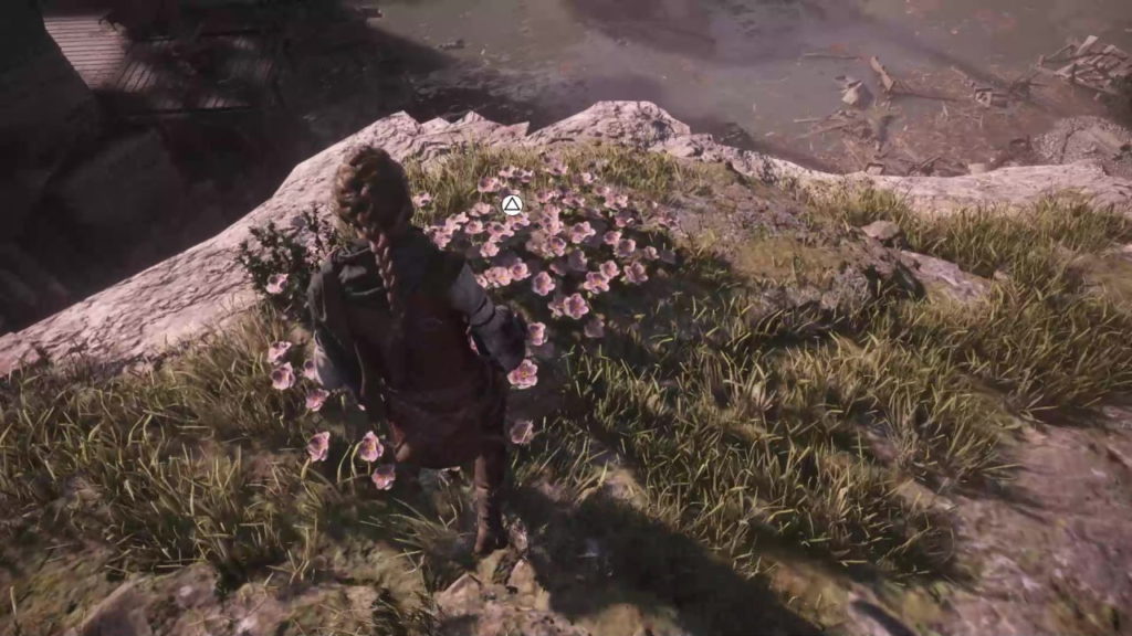 A Plague Tale: Requiem Collectible Guide (flowers, feathers