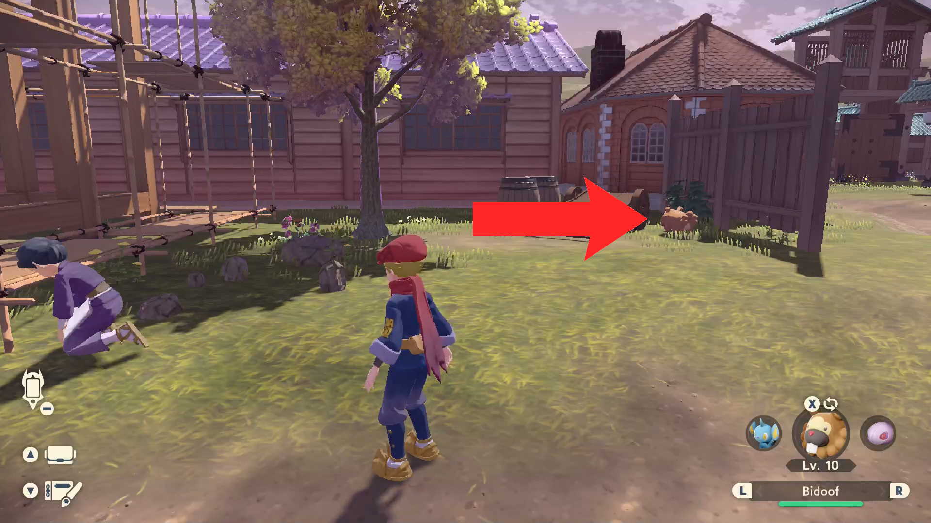 Bidoof #1 Location