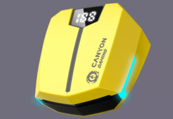 Canyon DoubleBee GTWS-2