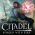 Citadel: Forged with Fire review