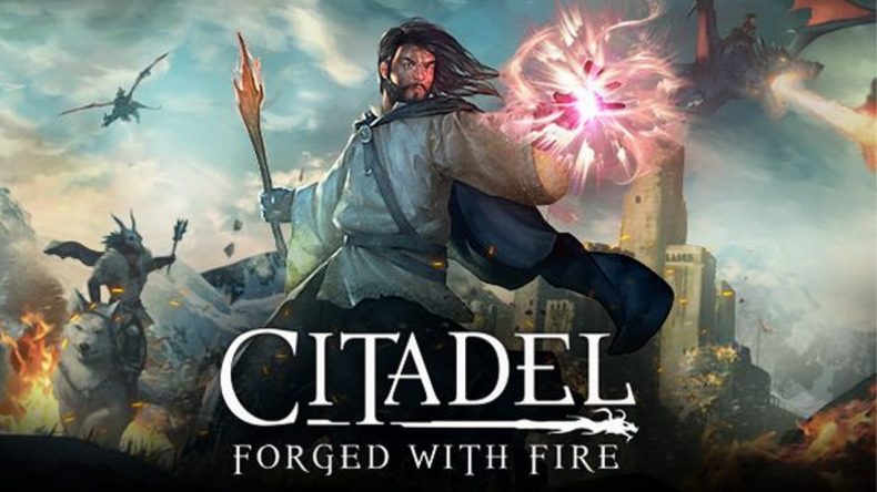 Citadel: Forged with Fire review