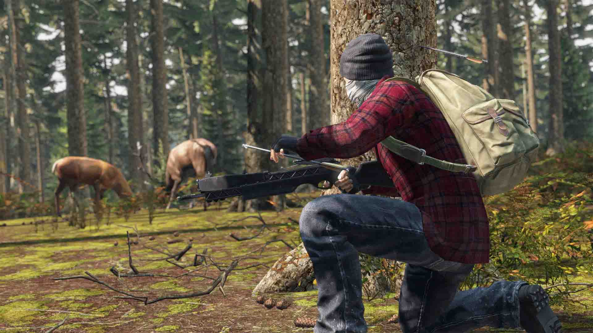 How does the bohemia store work? : r/dayz