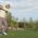 EA Sports PGA Tour update news