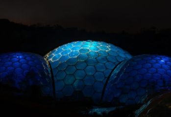 PlayStation partners with Eden Project to aid UK wildflower habitats