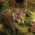 Gloomhaven: Mercenaries Edition