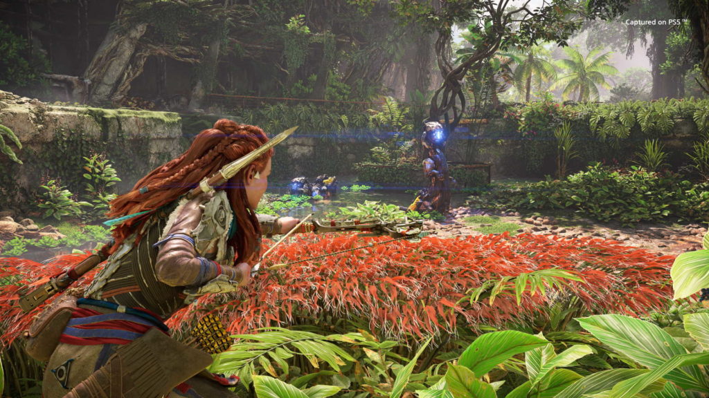PlayStation partners with Eden Project to aid UK wildflower habitats