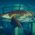 urassic World Evolution 2: Prehistoric Marine Species Pack
