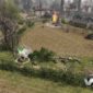 Men of War II is having a multiplayer tech test, available now