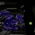 Metroid Dread: How to defeat the purple EMMI on Ferenia