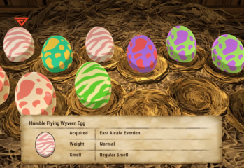 Monster Hunter Stories 2 Rare Egg