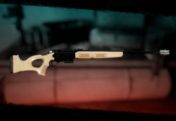 Dead Island 2 Best Gun