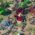 Park Beyond closed beta test starts today