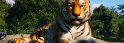 Planet Zoo: Console Edition