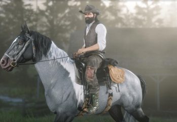 Red Dead Online new