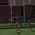 Rugby 24