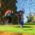 Sonic Frontiers theme is Vandalize by ONE OK ROCK
