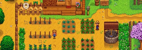 Stardew Valley
