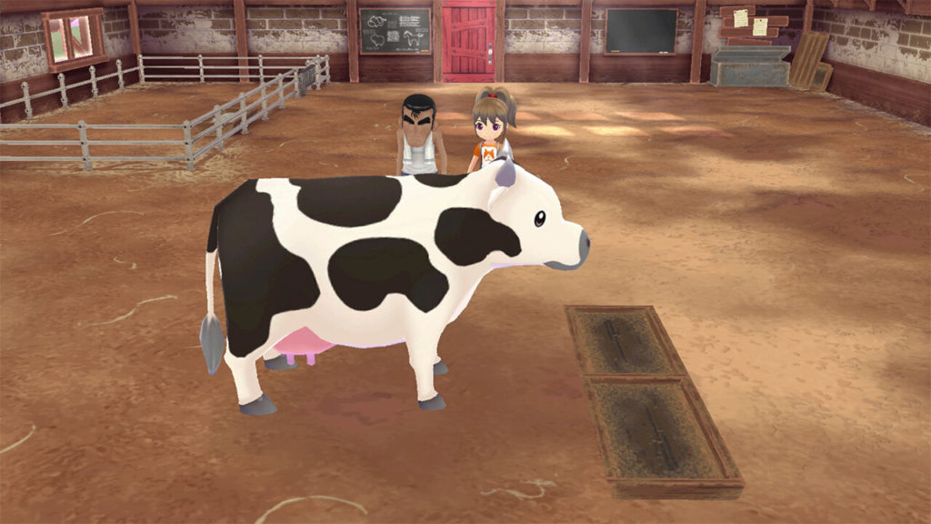 A screenshot of Story of Seasons: A Wonderful Life