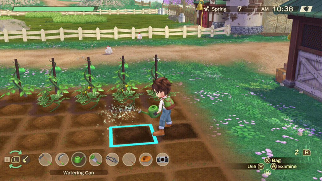 A screenshot of Story of Seasons: A Wonderful Life