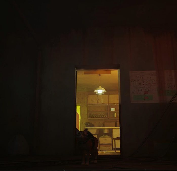 Stray Doc's Notebook Location