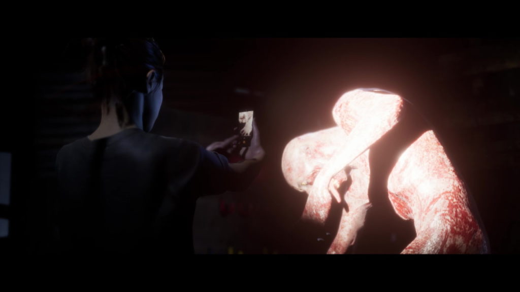 The Quarry Evidence