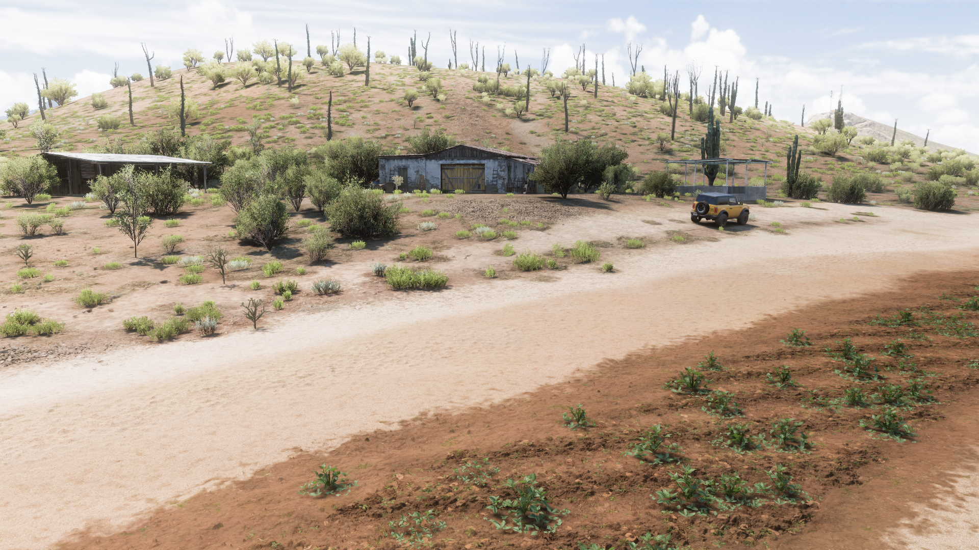 Toyota #1 T100 Baja Truck: Near De Otro Mundo and Costa Rocosa