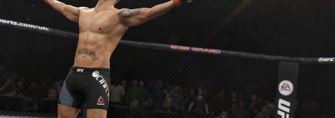 9 Tips for Victory in UFC 2