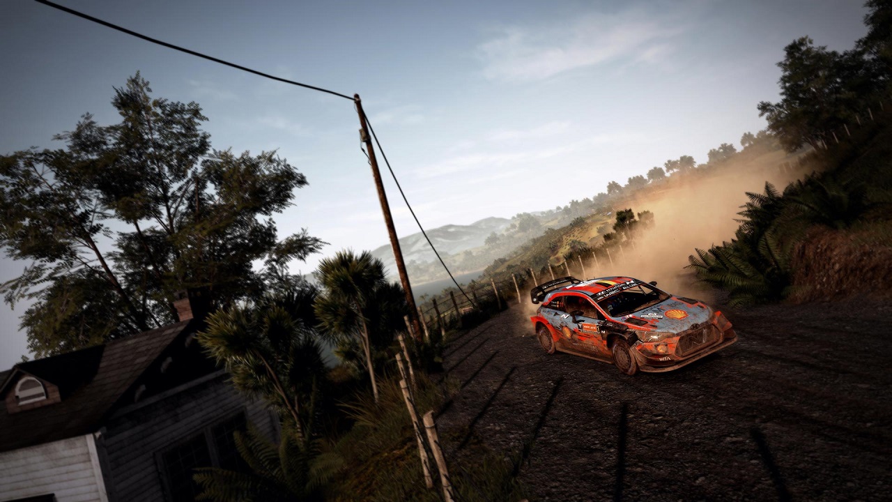 WRC 9 Switch race