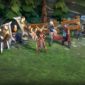 World Eternal Online is a new MMORPG that's in open alpha