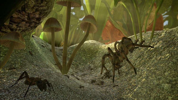 Ants Simulator codes