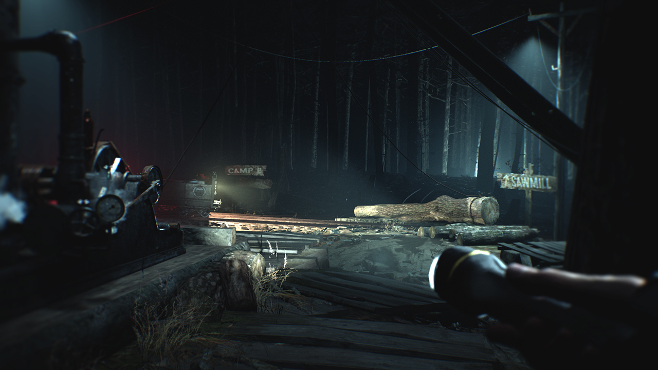 Switch witch game. Blair Witch геймплей. Blair Witch Nintendo Switch. Жанр игры Блейр Витч