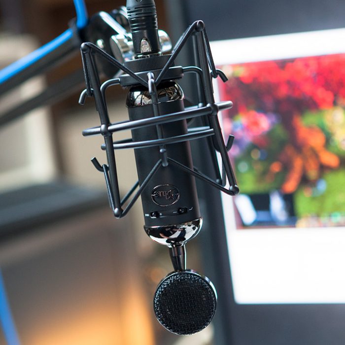 Blue Yeti Blackout Review