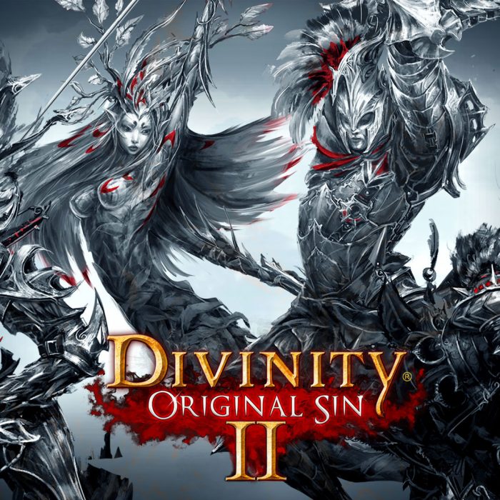 divinity original sin definitive edition divinity original sin definitive edition