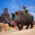 Conan Exiles update 3.0 is coming in Q3