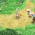 S Release Confirmed For Rune Factory 4