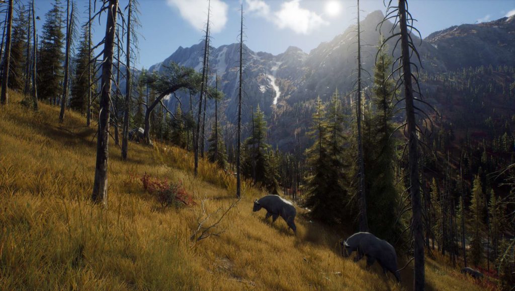 A screenshot of Way of the Hunter