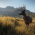 theHunter: Call of the Wild